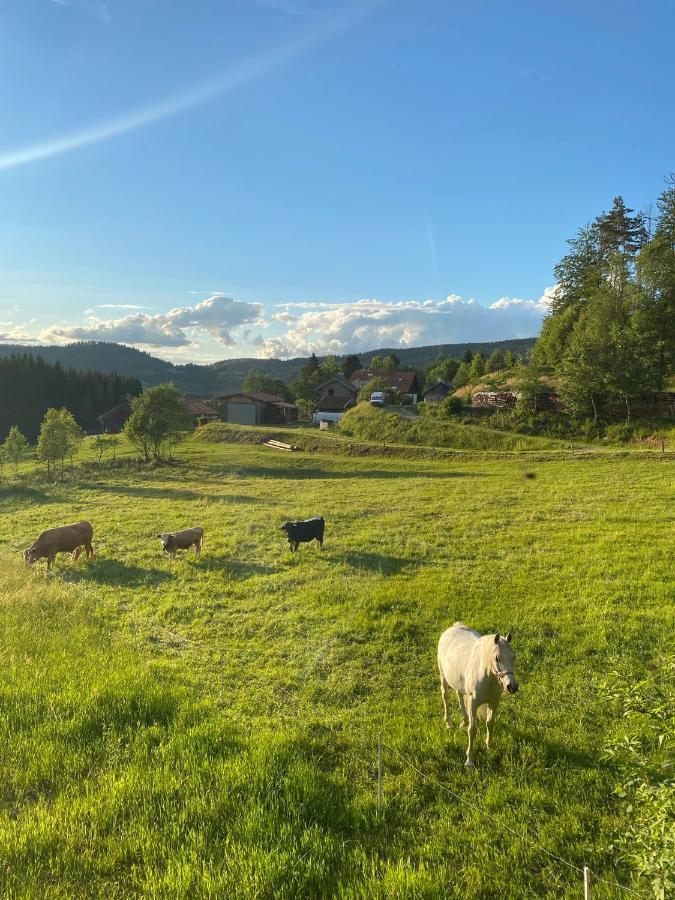 Les Reflets Du Lac Hotell Gérardmer Eksteriør bilde